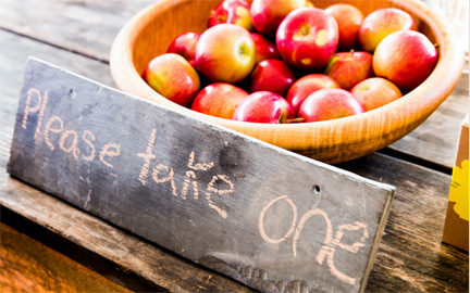 Bowl of Apples